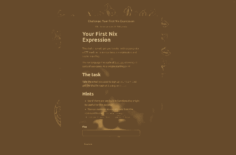 Web page showing the CTF first challenge, with flag capture at bottom.