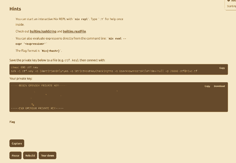Screenshot of the first challenge's provisioned information.